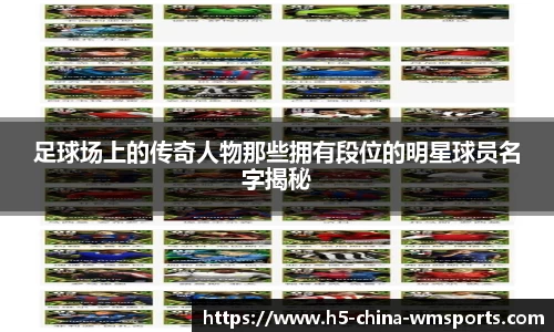 完美体育官方网站